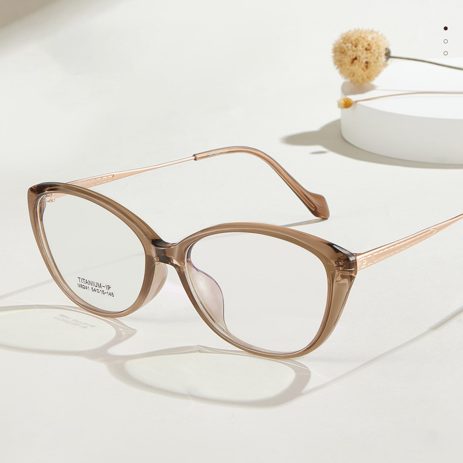 M8241 Bendable Titanium Pedes β Titanium Glasses